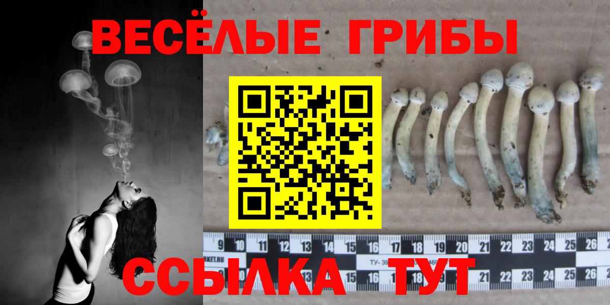 наркошоп  Галлюциногенные грибы MAGIC MUSHROOMS  Вход с VPN  Лабытнанги  Псилоцибиновые грибы ЛСД 